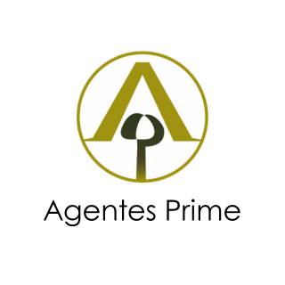 agentes prime inmobiliaria